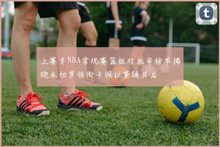 上赛季NBA常规赛篮板对抗率榜单揭晓米切罗领衔卡佩拉紧随其后